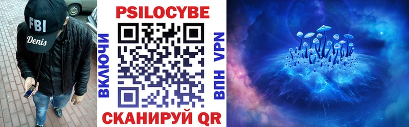 Псилоцибиновые грибы Psilocybe  Тутаев 