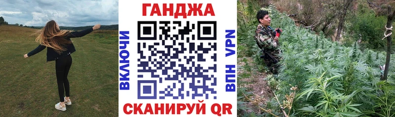 Каннабис OG Kush  Тутаев 